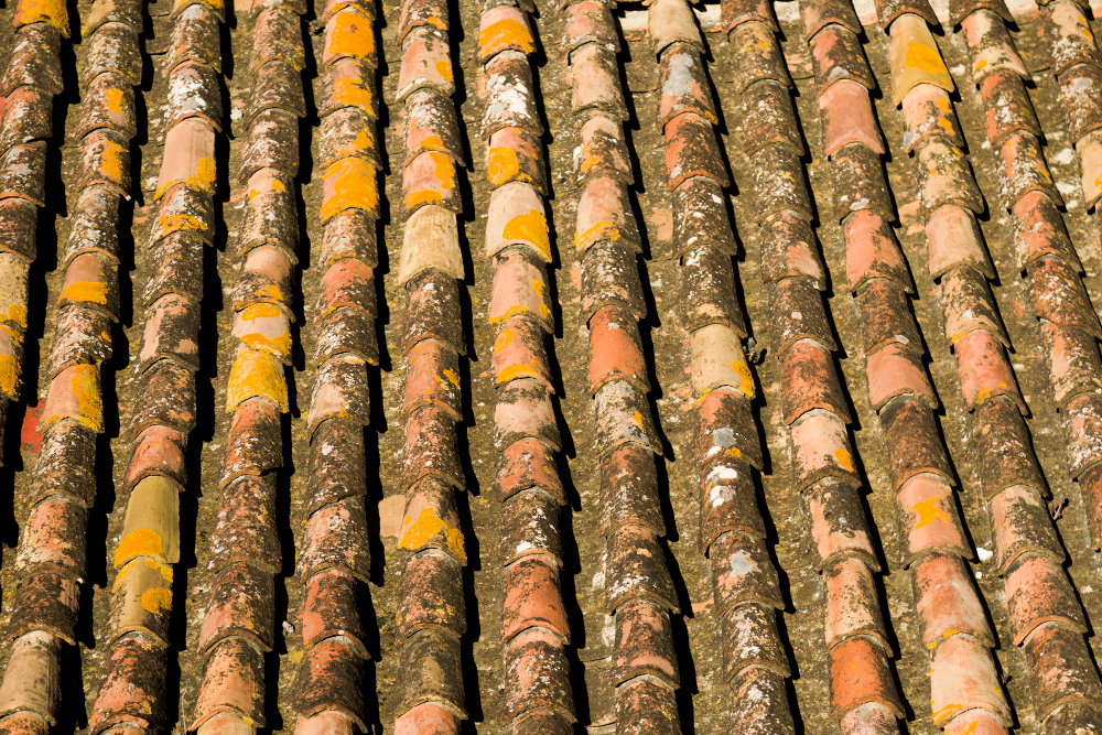 tile-roof-texture